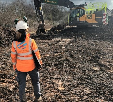 Our services include - BSL 2